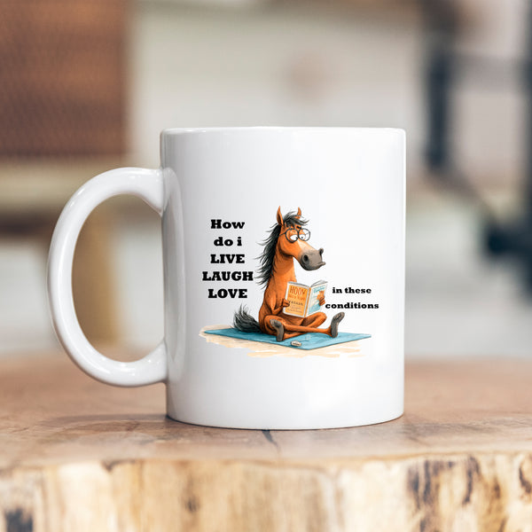 How Do I Live Laugh Love In These Conditions, Funny Gift, Personalised Mug