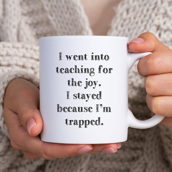 I Went Into Teaching For The Joy, Funny Teachers Gift, Personalised Mug